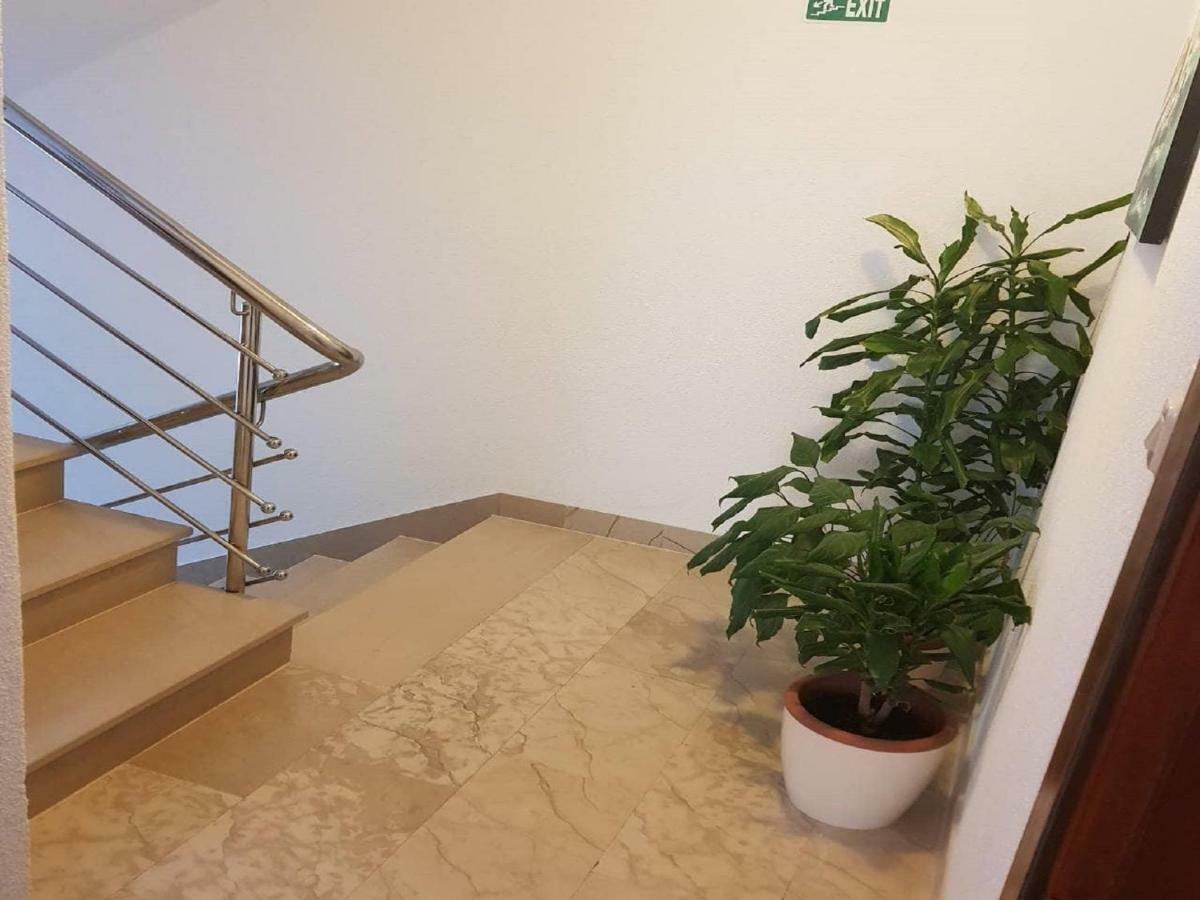 Apartmani Sonja マカルスカ エクステリア 写真